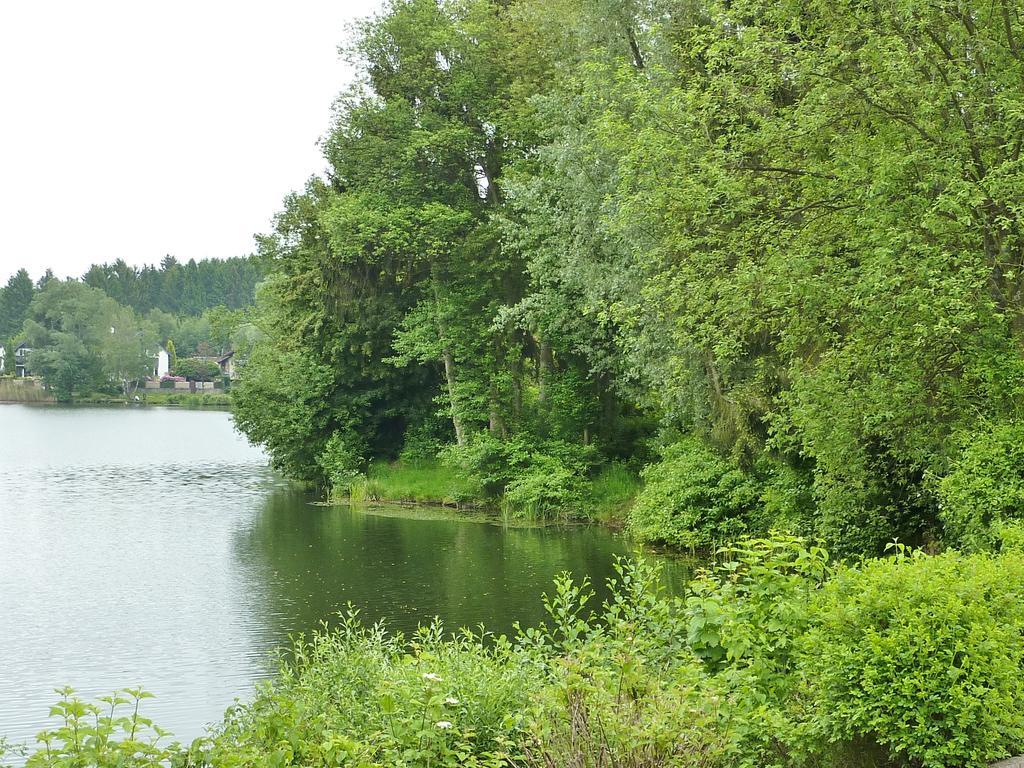 Business + Life Apartment Ferienwohnung Ransbach-Baumbach エクステリア 写真
